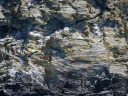 130609-RoundTintagel-21